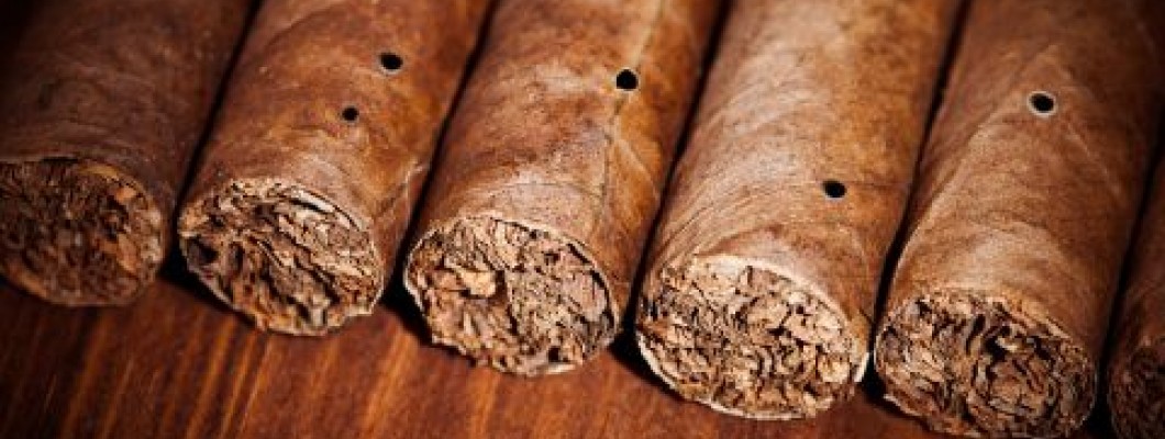 Szivarok dohánybogár-fertőzése